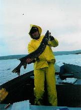 northern pike