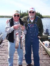 brook trout
