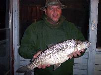 trophy whitefish