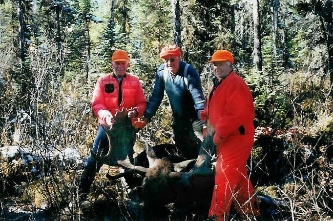Bull Moose